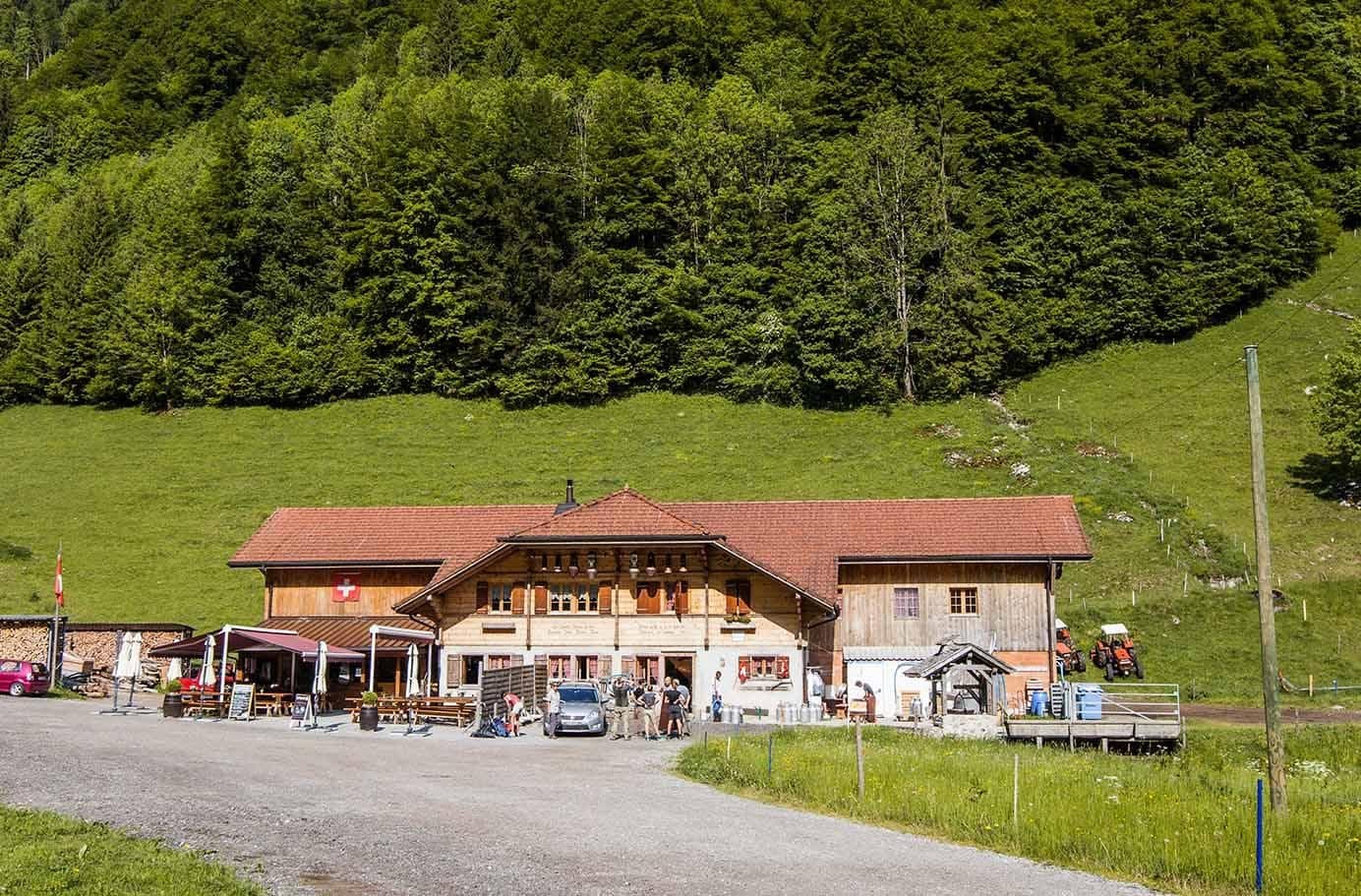 La nature de la vallée du Gros-Mont, au cœur de l'alpage