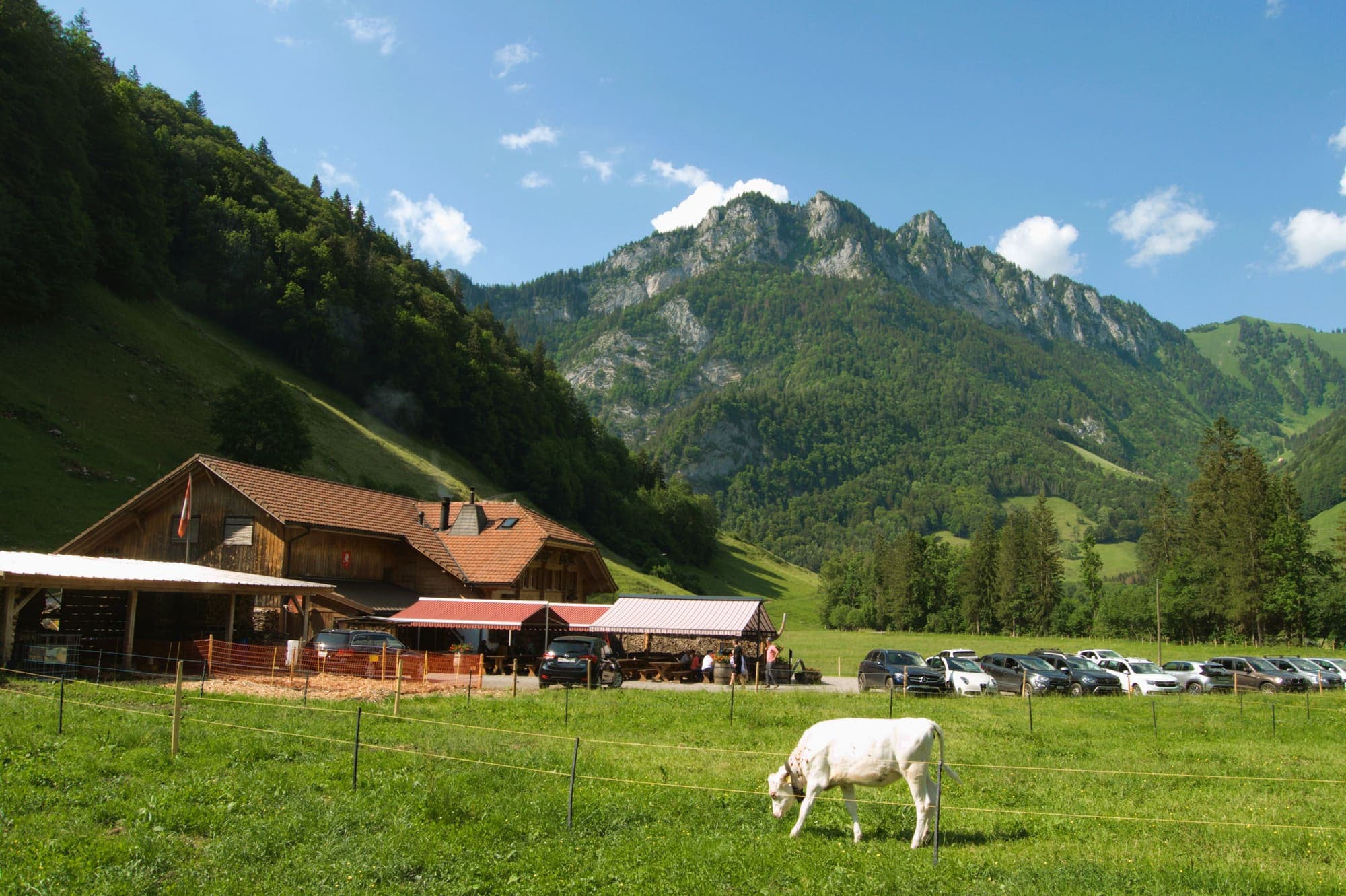 Le chalet des Invuettes au pied des montagnes de la Gruyère